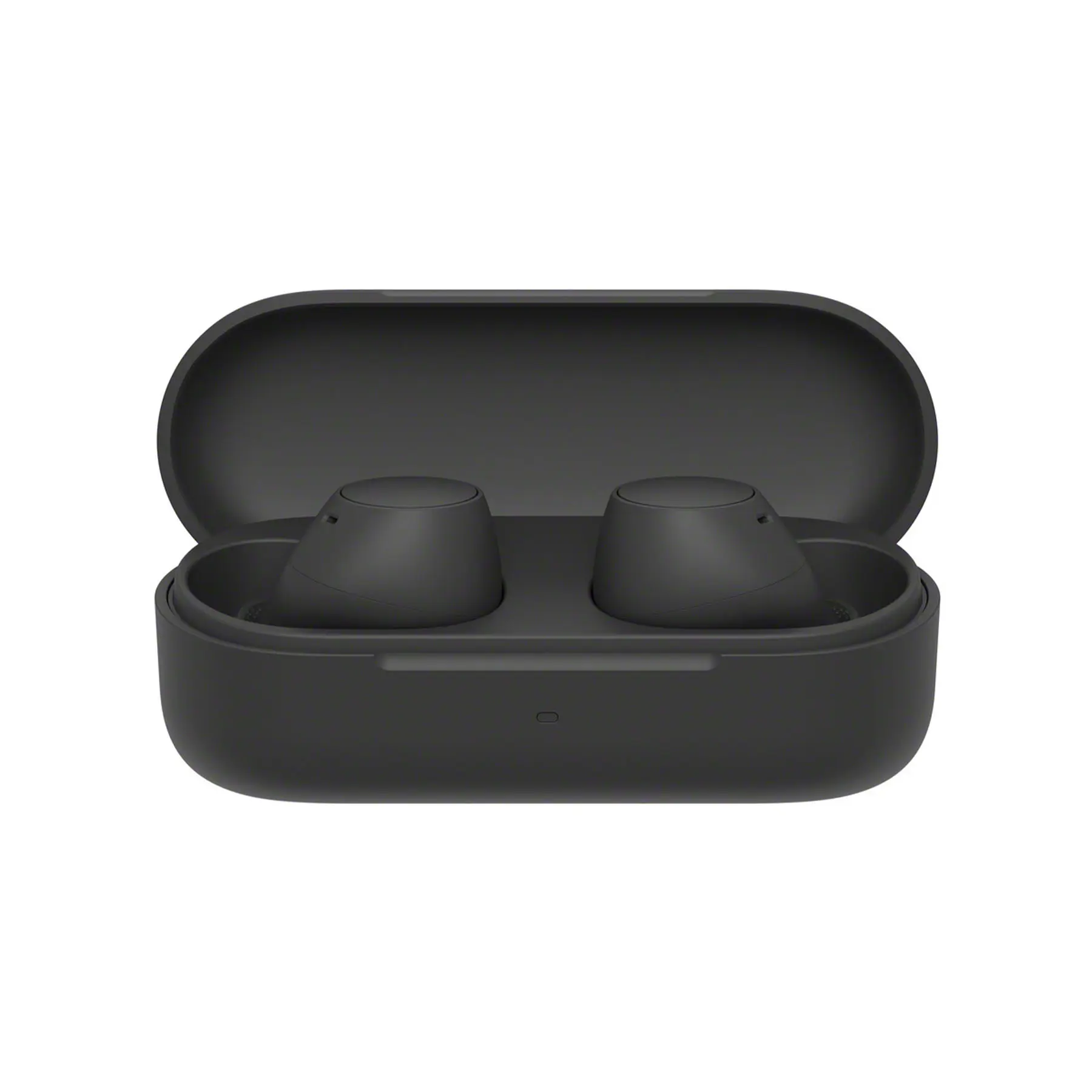 Earbuds