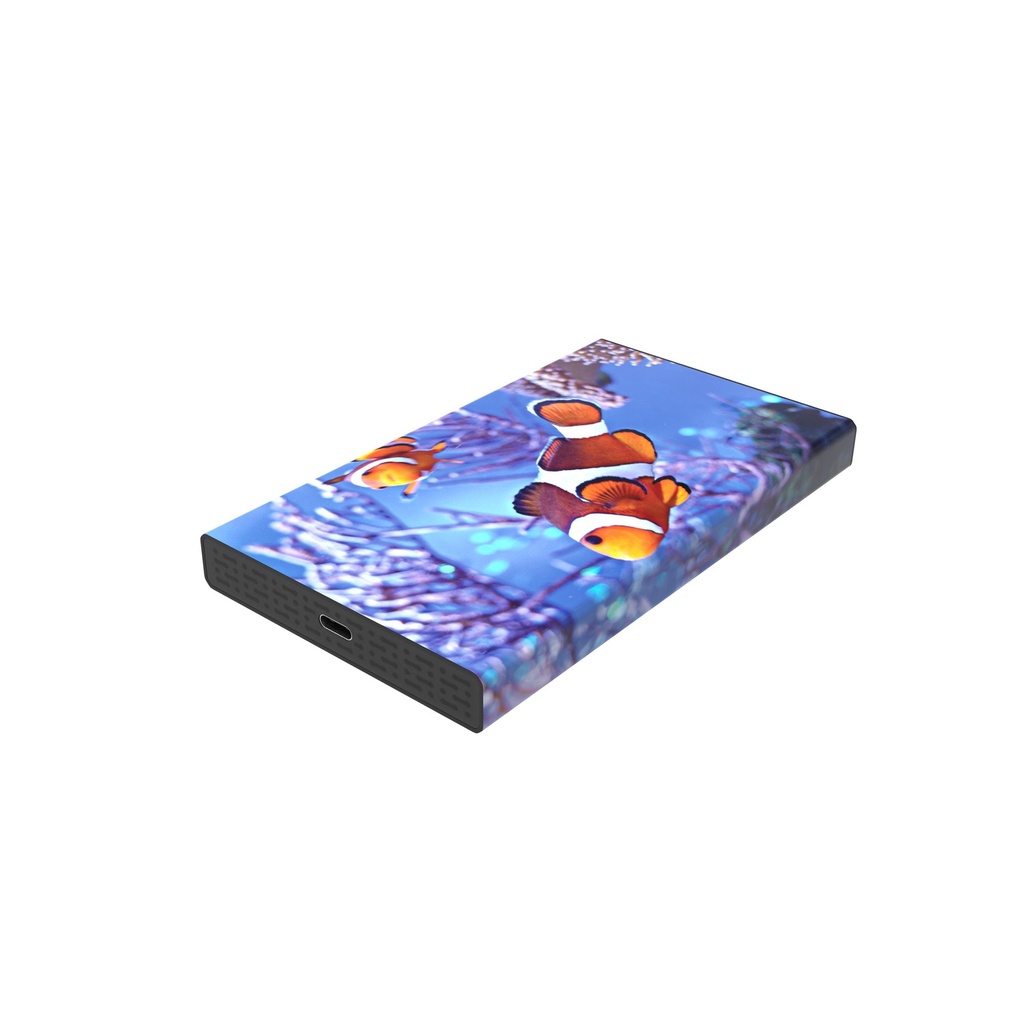 White Lake Pro External HDD