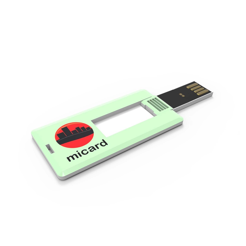 USB Stick Mini Card