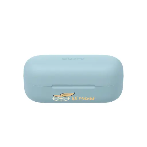 Sony WF-C510 Wireless Earbuds 